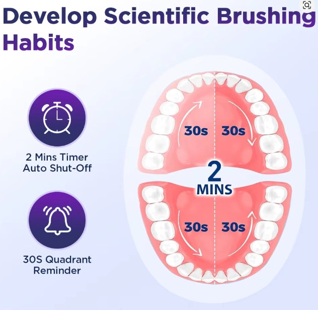 Electric Toothbrush