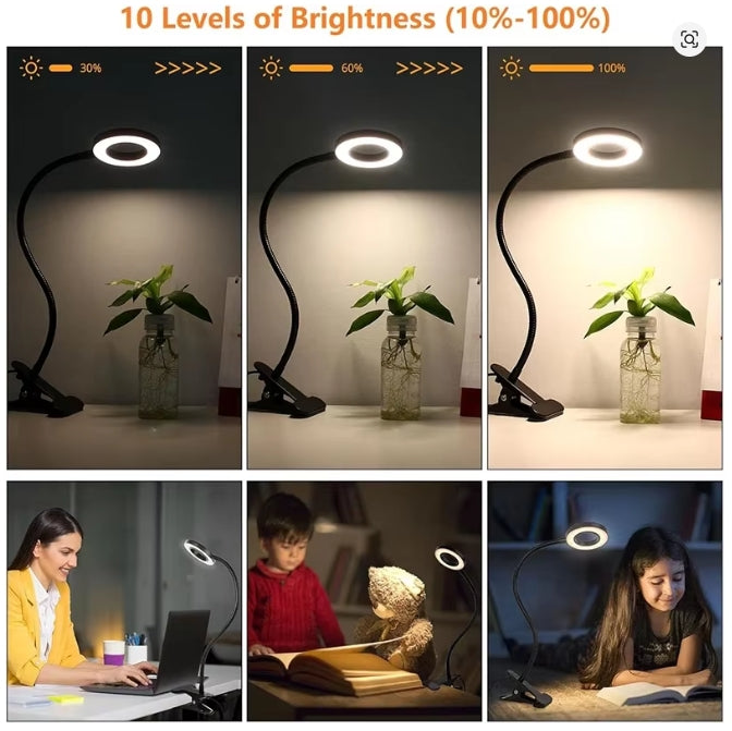 Reading Desk Lamp